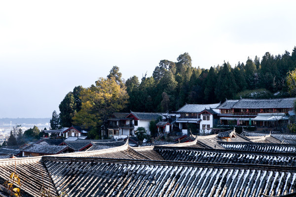 �����ų���լ