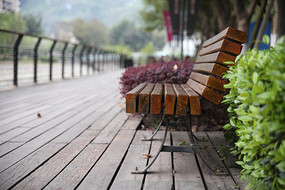 ·�ߵ�����