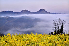 ũ������ɫ���Ͳ�