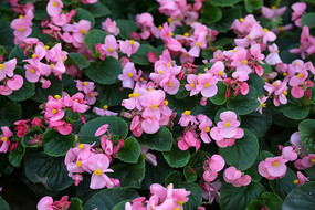 �ļ����� 