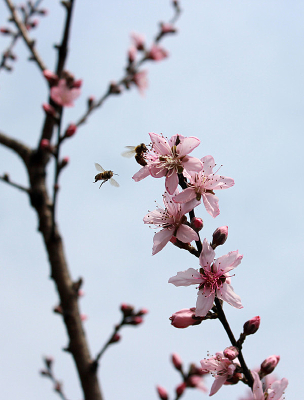 �һ��ϵĲ�����