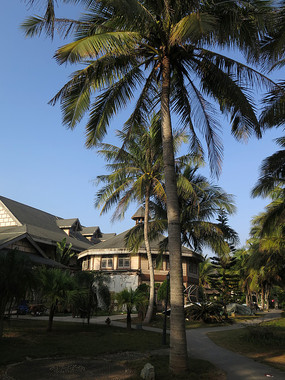 �Ĳ�������Ҭ��С��