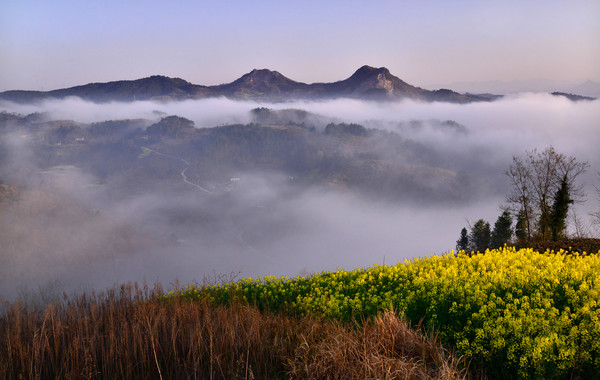 �Ͳ˱��ϵ�С��