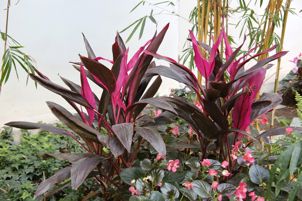 ����������