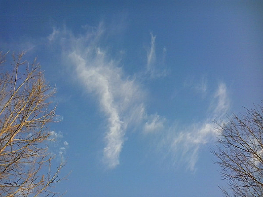 �������������ͼƬ