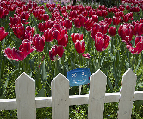 ����������