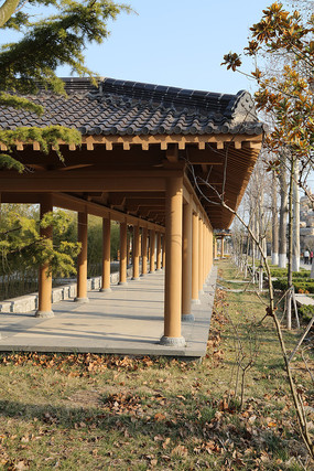 ���еĳ���