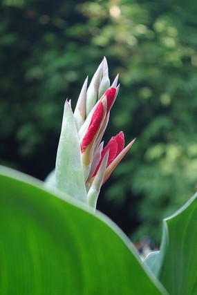 ��ɫ���˽���������