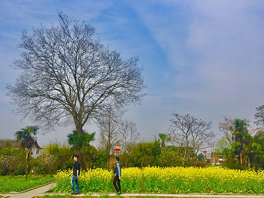 ��԰����