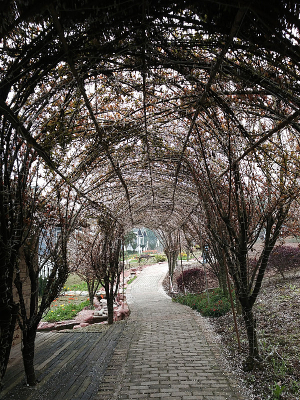 ������֦