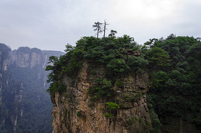 �żҽ羰�����ַ嶥����