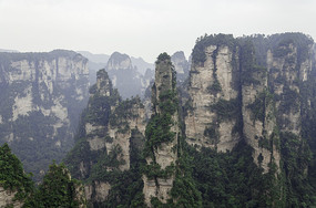 �żҽ羰�����־���