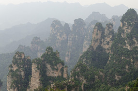 �żҽ羰��������������