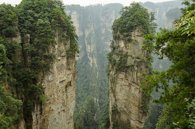 �żҽ羰���������¾���