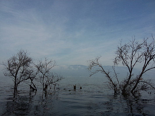 ���������Ե�ǳ̲��ľ���