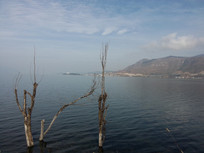 �����Կ���