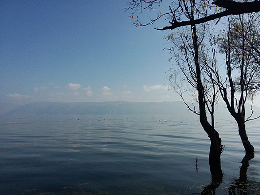 ����������·�ϵ�ǳ̲�����ַ��