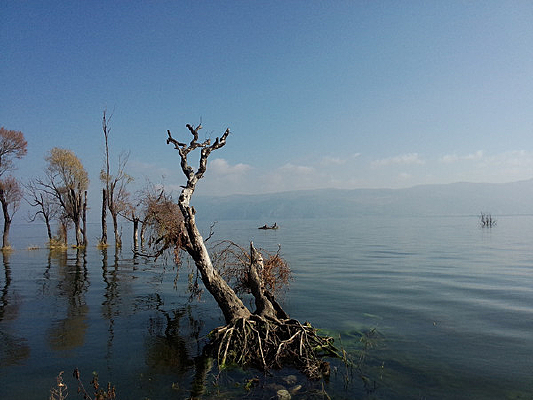 ����������·�ϵ�ǳ̲���ַ��