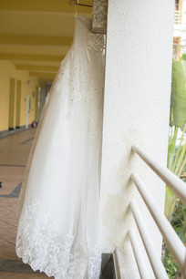 ���������ϵĻ�ɴ