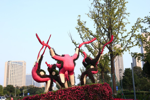 ��ɫ������