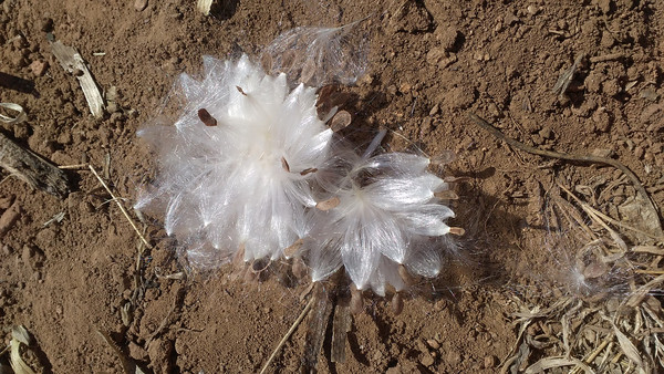 ���ư����ͼƬ