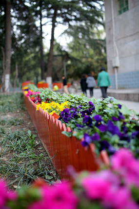 �߲���ɫ��