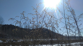 �����µ�����ͼƬ