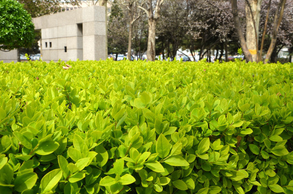 ����Ķ���