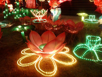 �ƻ��еĺɻ���ͼƬ