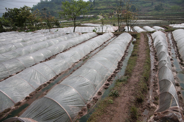 ũ�������