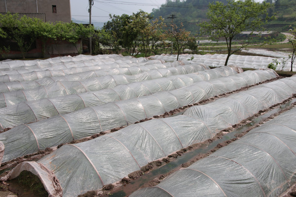 ũ��ˮ������