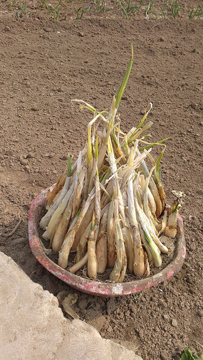 ���еĴ�ͼƬ