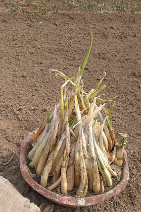 ���еĴ�ͼƬ