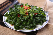 �����̰ײ�