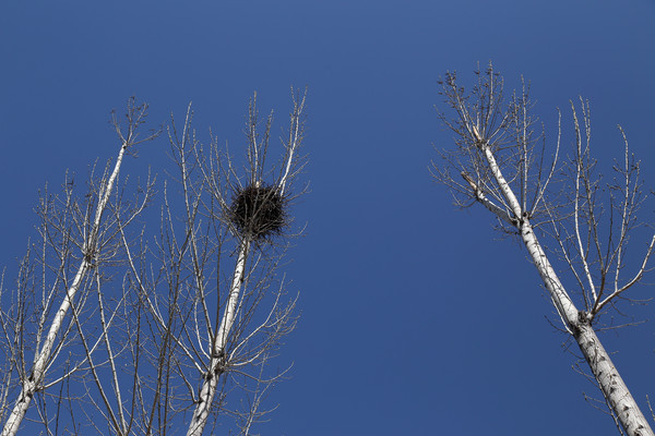 �������ϵ�����