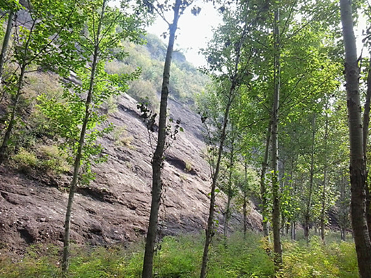 �ݵ��ϵ�����ͼƬ