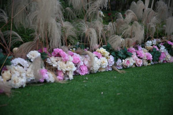 ��ƺƬƯ���Ļ���