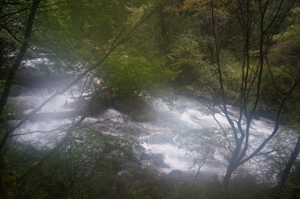 �����к���