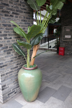 ��ƿ�������