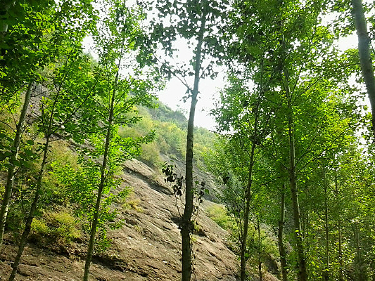 ɽ�Ե���ͼƬ