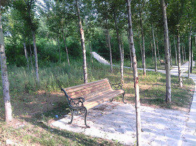 �����е�����ͼƬ