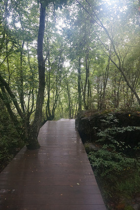 �����е�����