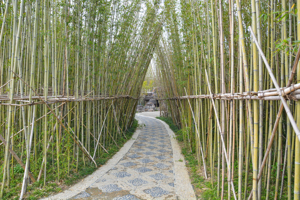 ����ľ��