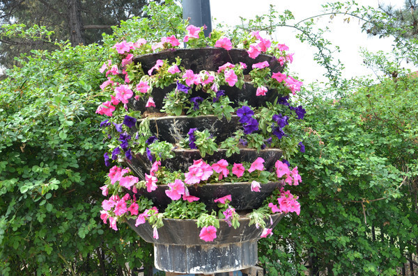 ��ǣţ����