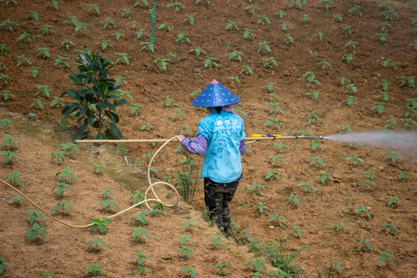 ����������Ա