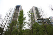 �����ĸ�¥