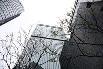 �����µĸ�¥����