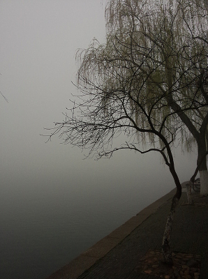 �������߷羰