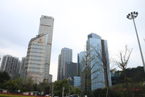 Զ�������������