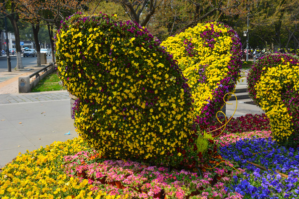 ԰���쾰����